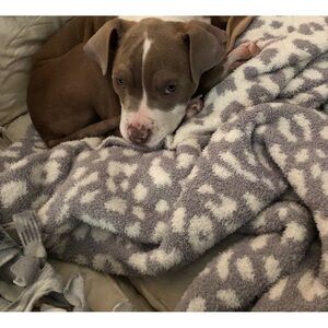 Meet your Posher, Trish